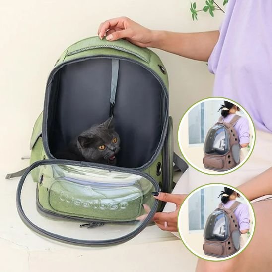 Sac à dos chat | Confort - Le Merveilleux Monde de l’Enfance