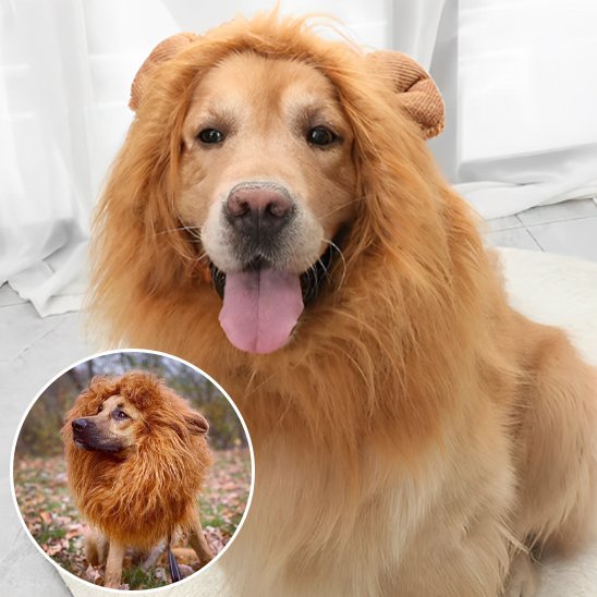 Déguisement chien | Canin'Star - Le Merveilleux Monde de l'Enfance