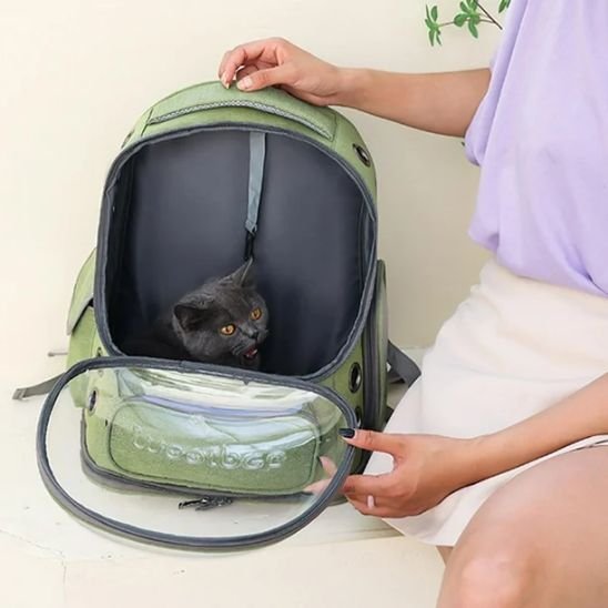 Sac à dos chat | Confort - Le Merveilleux Monde de l’Enfance