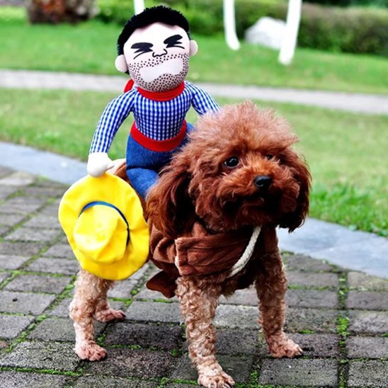 Déguisement chien | Adorable Star - Le Merveilleux Monde de l'Enfance