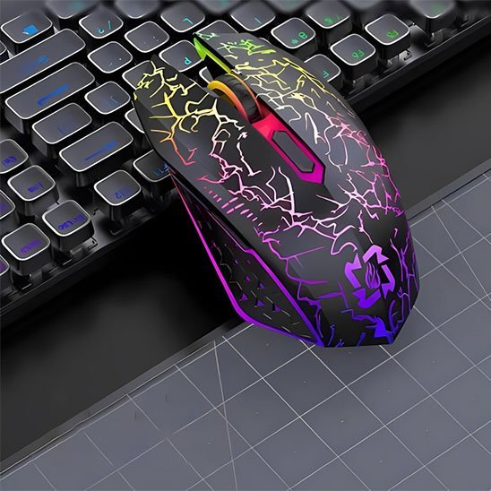 Souris sans fil Pro | Ergonomique - Le Merveilleux Monde de lâEnfance