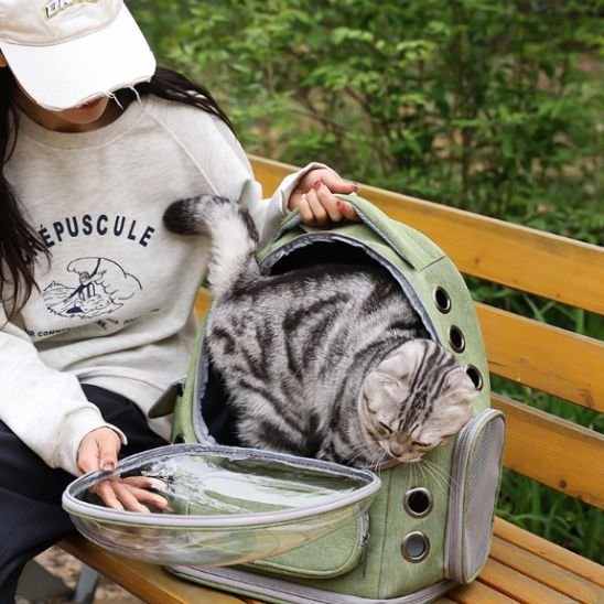 Sac à dos chat | Confort - Le Merveilleux Monde de l’Enfance